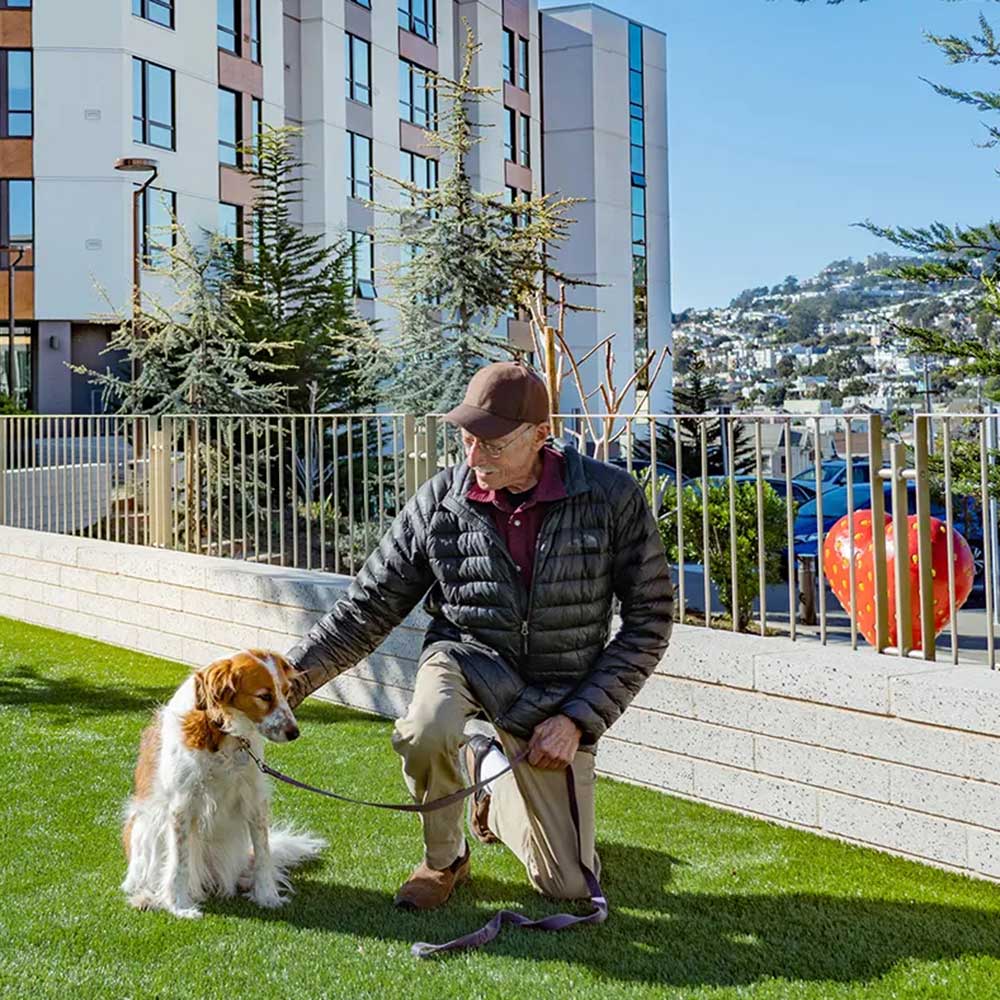 Dog park area