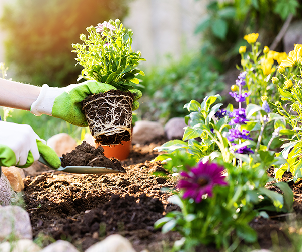 Gardening Gardening